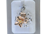 s-Chein Family (3).jpg